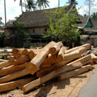 Timber deposited along the roads of Bira.