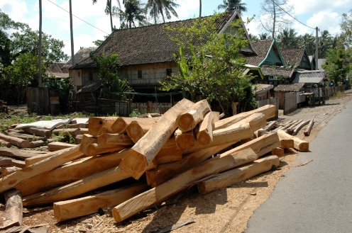 Timber deposited along the roads of Bira.
